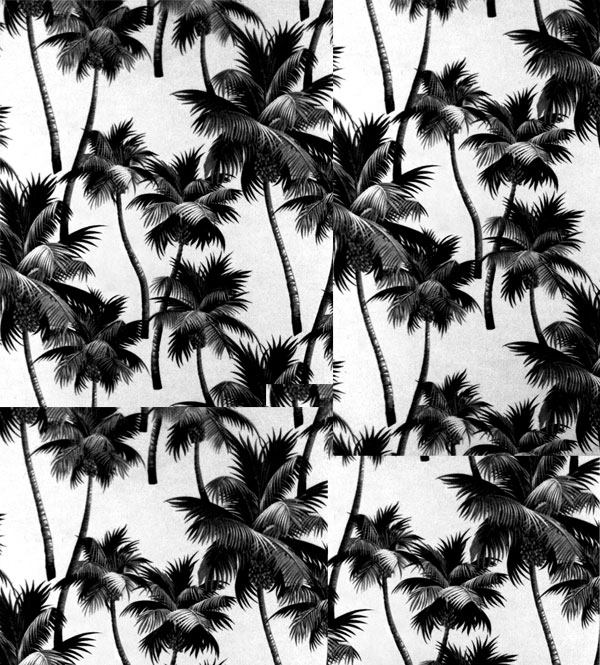 palms